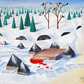 Wilderness Perception