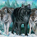 Winter Wolves